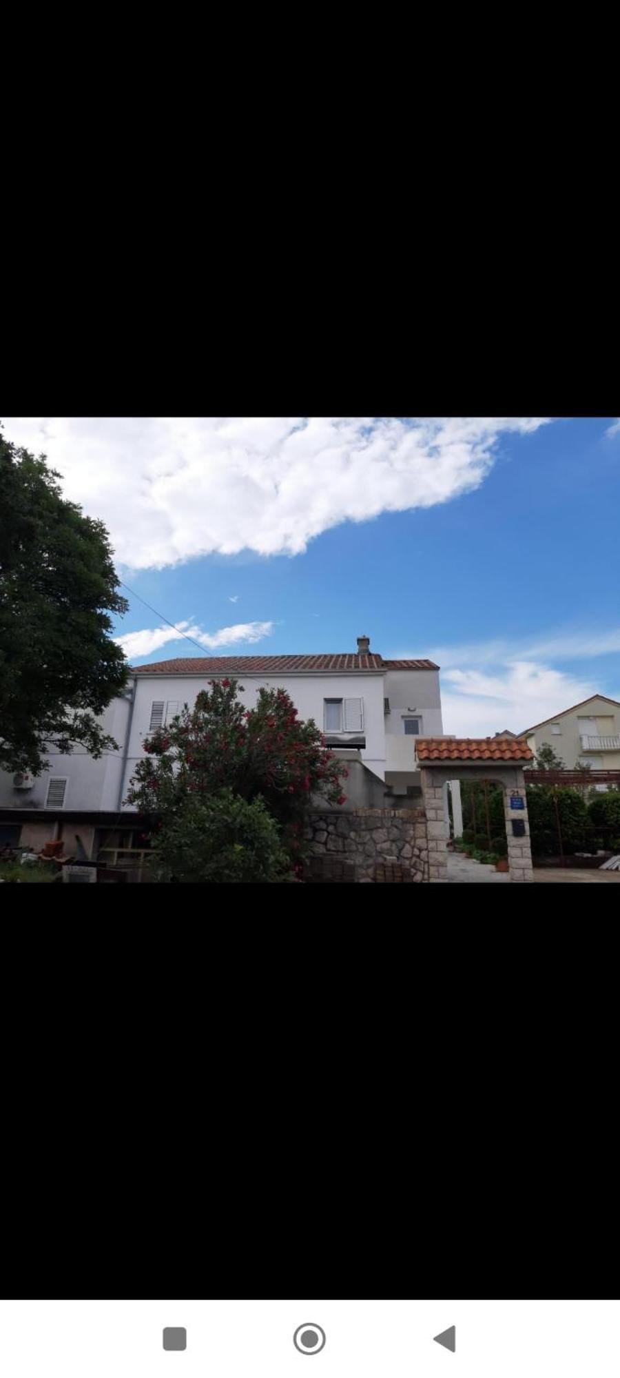 Knezevic *